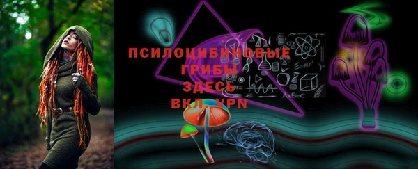 круглые Пересвет